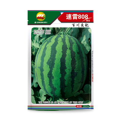 速雷808