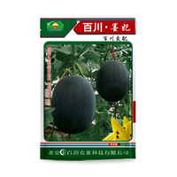 百川墨妃