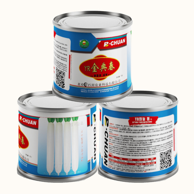 YR金典春