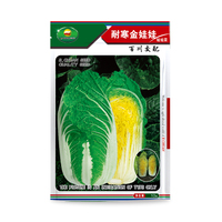 耐寒金娃娃