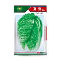 夏强